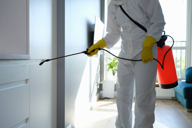 Best Mold Remediation  in Dane, WI