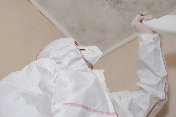 Best Mold Remediation  in Dane, WI